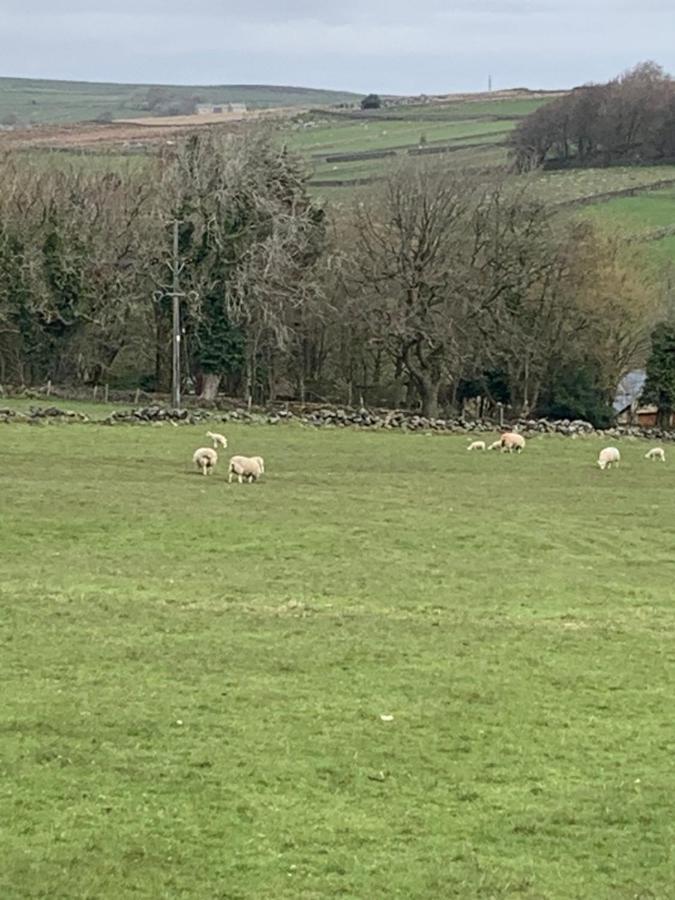Church Gate Farm Harrogate Dış mekan fotoğraf